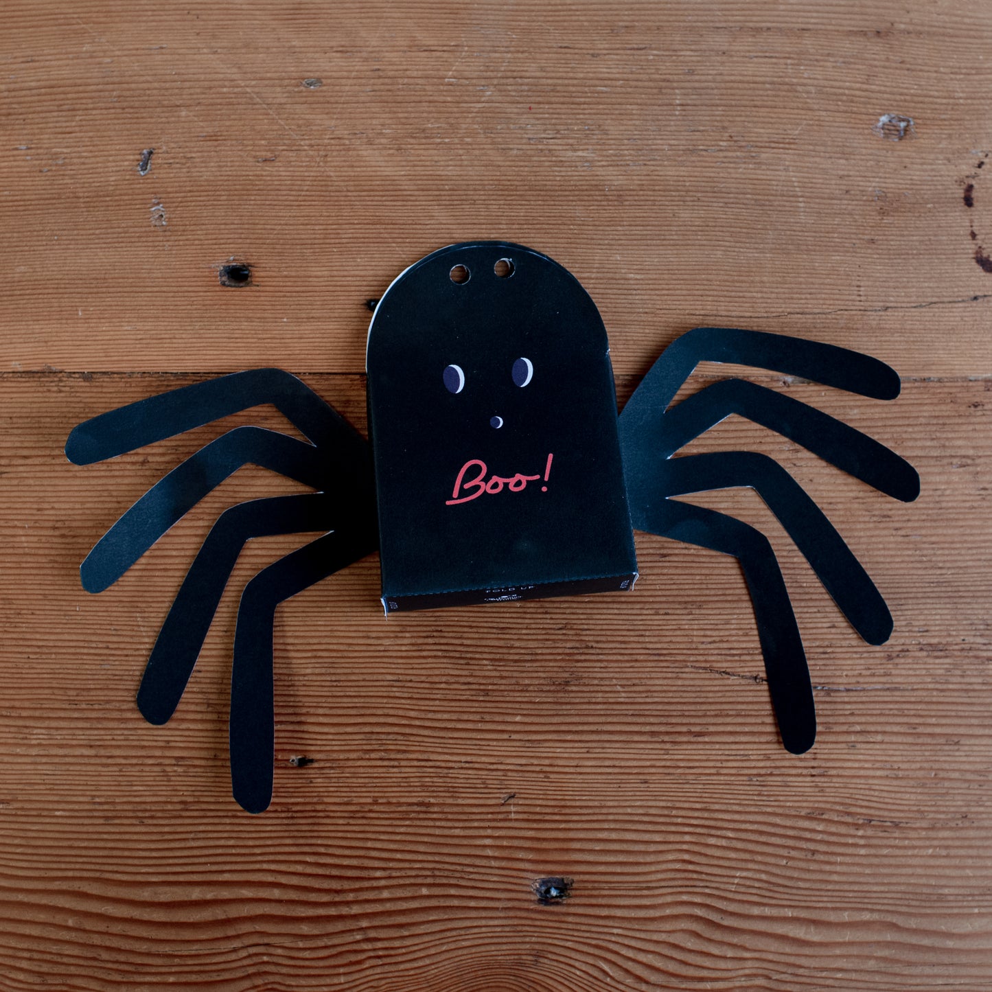 Spider Boo Kit