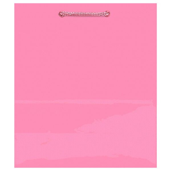 Glossy Pink Party Favor Bag