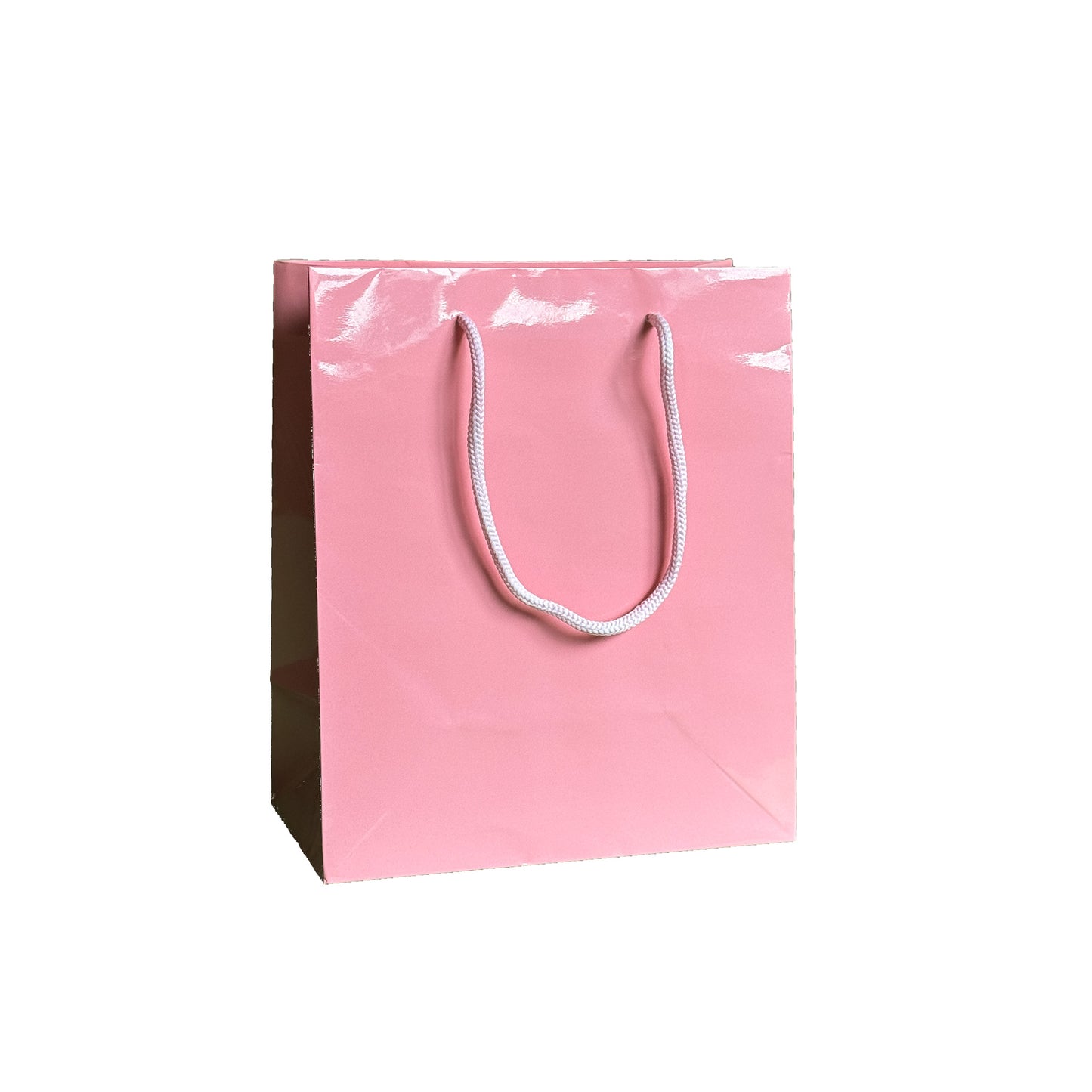 Glossy Pink Party Favor Bag